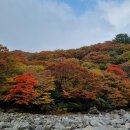 제주도 천아계곡,/수악계곡, 보리악협곡/도순천,범정이오름 트레킹 이미지