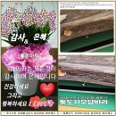 18)3. 莊子장자 外篇외편 第18篇 至樂(지락)(第3章)/미국 무역법,프랑스 지방선거,AI·내수 동력,전쟁범위 확대,전기차 의무화,인 이미지