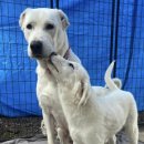 깊은산속 이미지