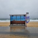 12월 말 일기: 홈베이킹 / 송년회 / 크라스마스파티 / 강릉