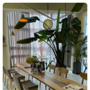 라폼의원 이미지