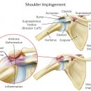 화명튼튼정형외과의원 이미지