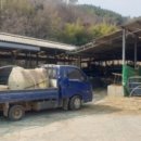 보성축사 이미지