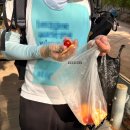 천지배농장 | 식단관리를 포기한 여자의 마운자로 3주차 일상