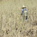 윤성농장 이미지