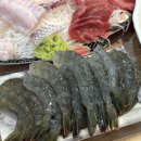 소래1번수산 | 여름 생새우회 맛집! 가락시장 내돈내산 생새우회 할인 꿀팁, 초장집 추천
