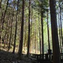 경천생활체육공원-1 이미지