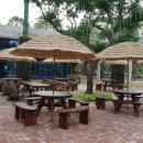 라피에스타 이미지