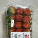 다사랑 할인마트 오곡점 | [자취생활기_식생활] 2026.1 2번째 장보기(비마트, 이마트슈퍼 길음점)