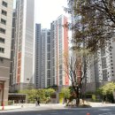 강변아파트 이미지