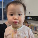 현진목장 이미지