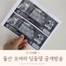 EBS모여라 딩동댕 | EBS 모여라 딩동댕 번개맨 공개방송 다녀온 후기