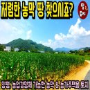 여주-0612 네이버블로그