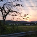 감포우리약국 이미지