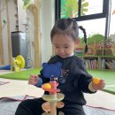 공감펫토리 이미지