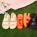 쭈 주식회사 이미지