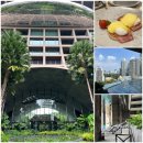 한메디칼 | 방콕호텔 신돈캠핀스키 part2. 조식/인피니티풀수영장/근처맛집롱시포차나