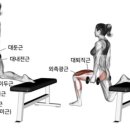근육제작소 이미지