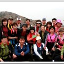 이안초교 이미지