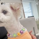 무브유필라테스 - 목포시 연산백련로7번길 2-9 | 무브유필라테스