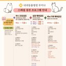 내과동물병원 루미나 이미지