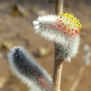 벤츠 당구장 이미지