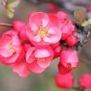 양지좌사 | 고창 백운산방(白雲山房)