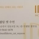 미소해 인셀덤 이미지