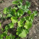 방우농장 이미지