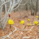 건웅기업 이미지