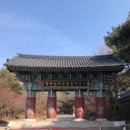 수덕사의 여승, 그리고 더 많은 이야기