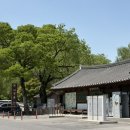 한반도면-5 | 영월 여행 왕사남 당일치기 코스 후기 ㅣ 장릉 청령포 한반도지형 선돌 맛집 등