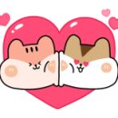 큰손칼국수.보쌈 이미지