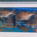 태백회수산 이미지