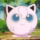 푸린이네 이미지