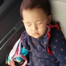 자매 농장 이미지