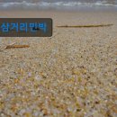 삼거리펜션민박 이미지