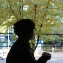 슈드해브커피 이미지