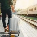 달고양이 이미지