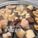 부평동주민센터 | 남포동 술집 양곱창먹으러 부평양곱창으로 돌격! 소금구이 추천!