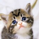 매가패스 이미지