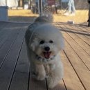 기승전견