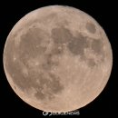 국제슈퍼 - 보성군 예당역전길 17-1 | 국제슈퍼