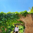 서울숲 곤충식물원 화장실 이미지