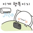 호텔 더 윈 이미지