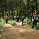 백양산막걸리 이미지