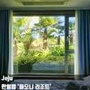 하모니리조트 | 제주 서쪽 하모니 리조트 협재 해수욕장 근처 한림 애월 가성비 가족 숙소 추천