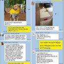 세종애견훈련소 네이버블로그