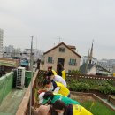 수원 동립말 수원시민신문
