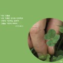 참사랑 - 김제시 봉황공단2길 107 | 참사랑